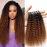 Extensions de Cheveux Humains Frisés Ombrés Tressés au Crochet Plume Douce