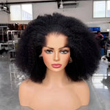 Perruque Lace Front à Ligne de Cheveux 13x4|13x6 M "Lagos Hairline Afro Kinky Curly" en Cheveux Humains