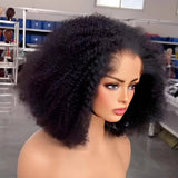 Perruque Lace Front à Ligne de Cheveux 13x4|13x6 M "Lagos Hairline Afro Kinky Curly" en Cheveux Humains