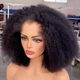 Perruque Lace Front à Ligne de Cheveux 13x4|13x6 M "Lagos Hairline Afro Kinky Curly" en Cheveux Humains