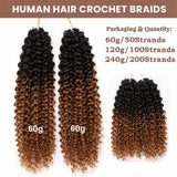 Extensions de Cheveux Humains Frisés Ombrés Tressés au Crochet Plume Douce