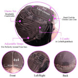 Ebony | 4X4 Lace Closure Wig Pre-plucked Human Hair Loose Wave